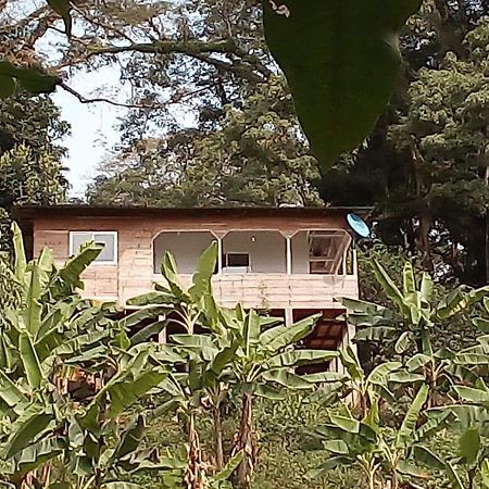Casa De Andrea Villa Santo António Eksteriør billede