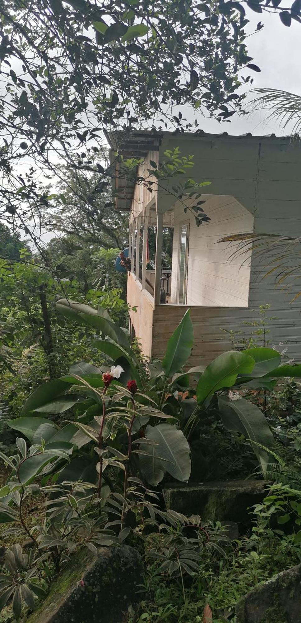 Casa De Andrea Villa Santo António Eksteriør billede